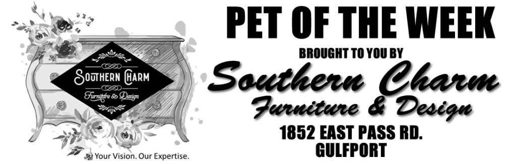 PET OF THE WEEK / SOUTHERN CHARM